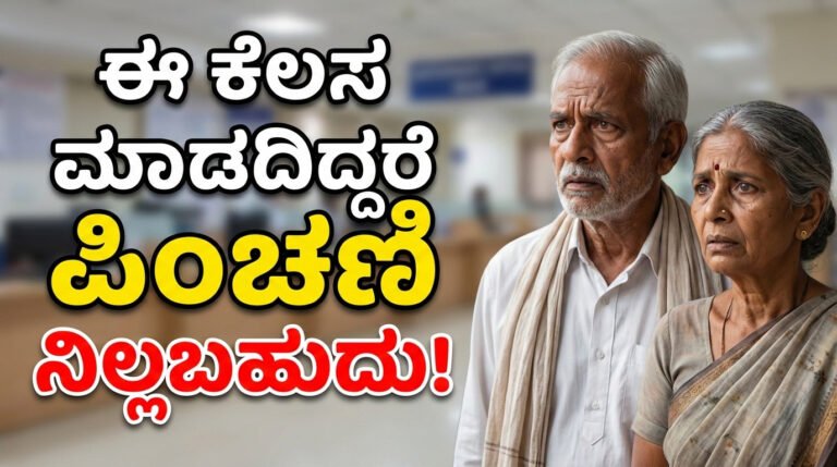 ಹಿರಿಯ ನಾಗರಿಕರ ಪಿಂಚಣಿ ಯೋಜನೆ