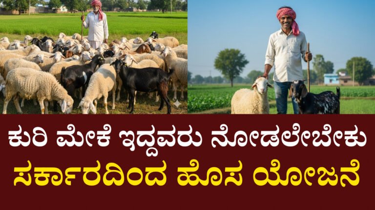 ಕುರಿ ಮೇಕೆ ಸಾಕಾಣಿಕೆ ಸರ್ಕಾರಿ ಯೋಜನೆ