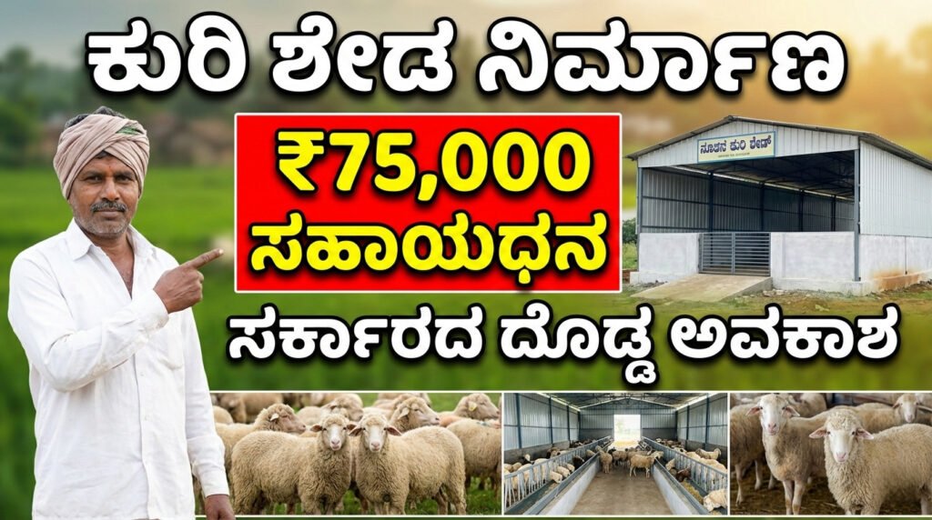 Sheep Shed Subsidy Karnataka